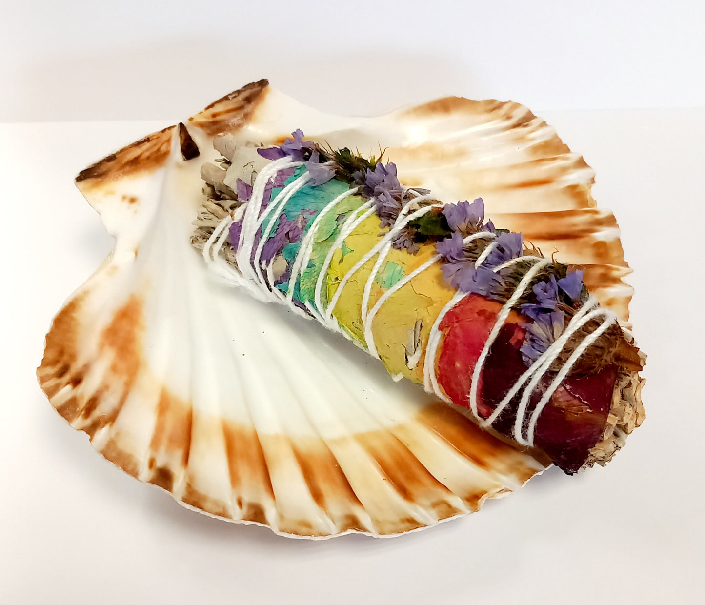 Coquille Saint-Jacques