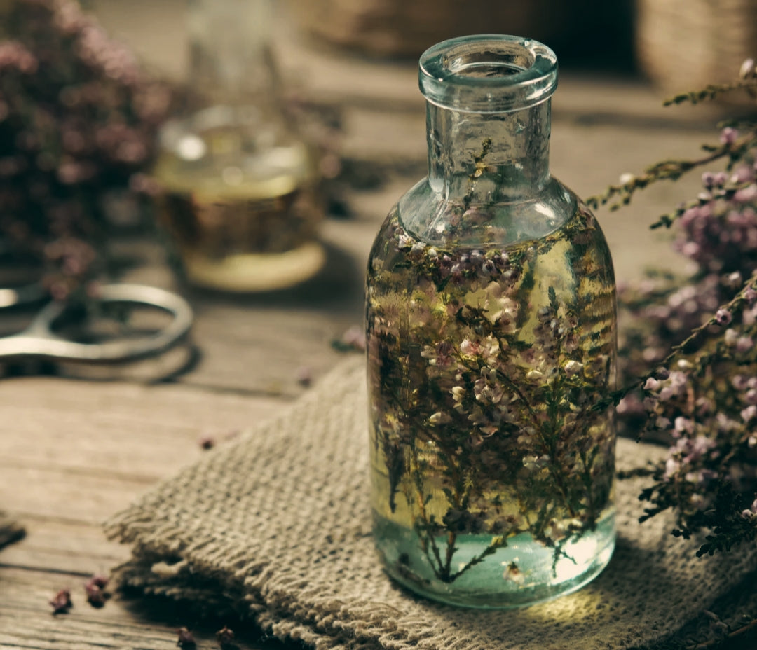 Formation — Comprendre et utiliser le langage magique des plantes