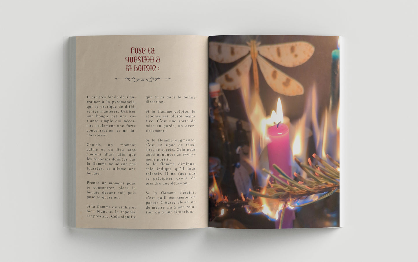 LE GRIMOIRE, préceptes et croyances de sorcière