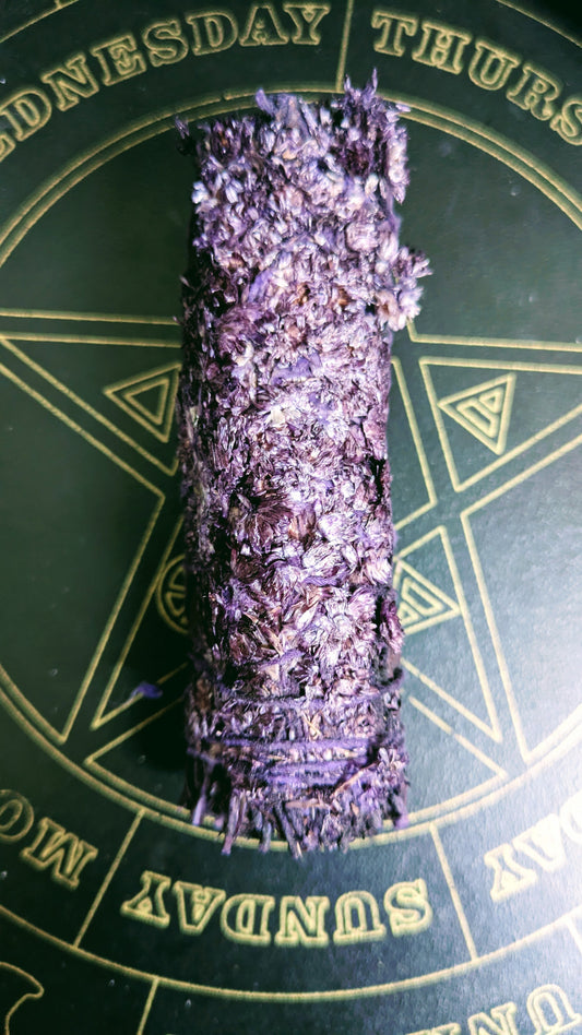 Molène de phénicie et sauge blanche