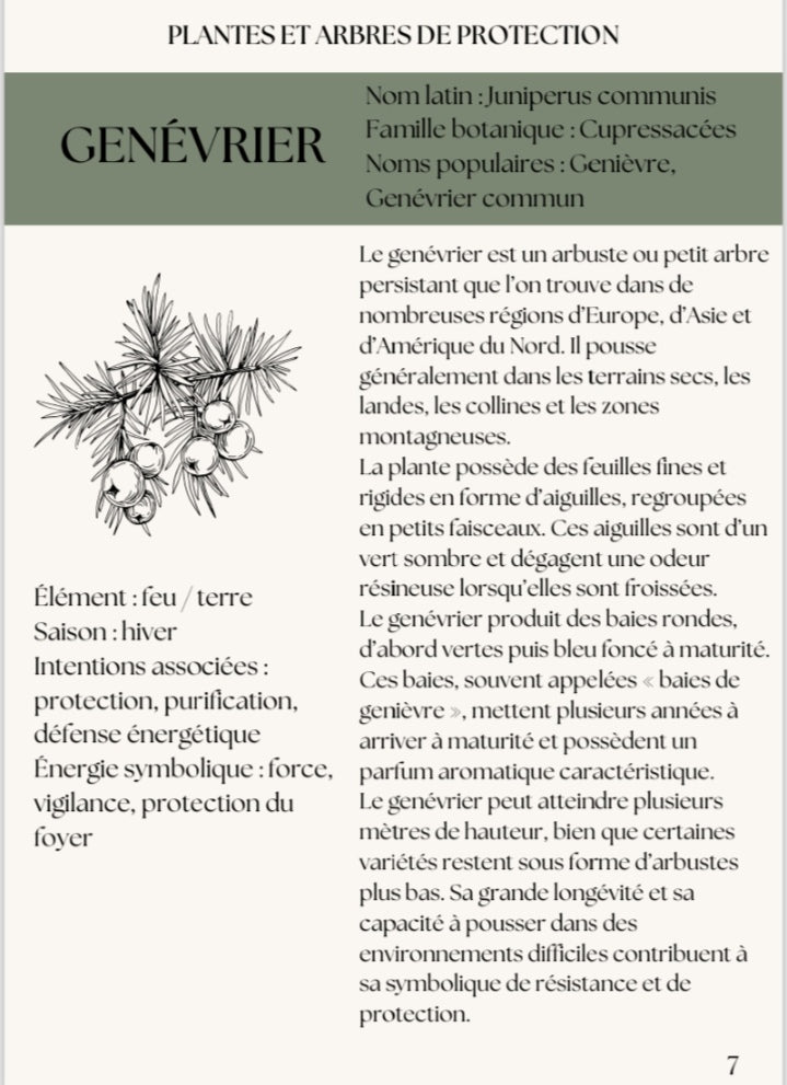 Lexique de magie végétale
Correspondances et usages magiques des plantes (pdf)