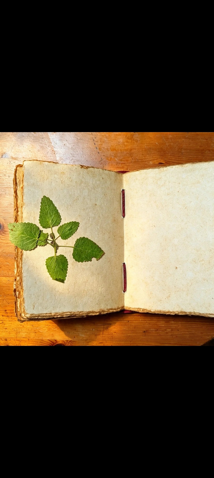 Le Grimoire Rouge