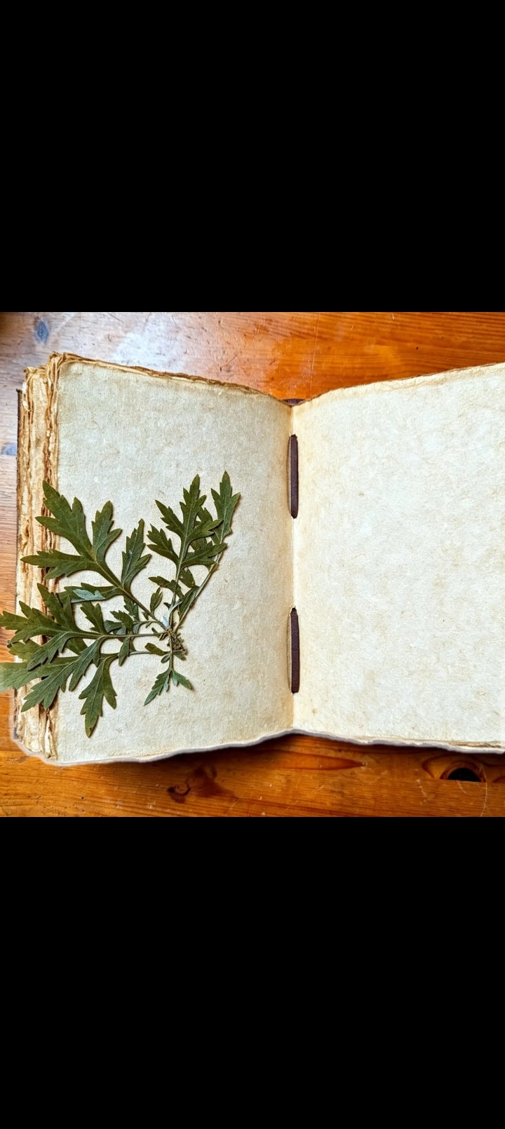 Le Grimoire Brun