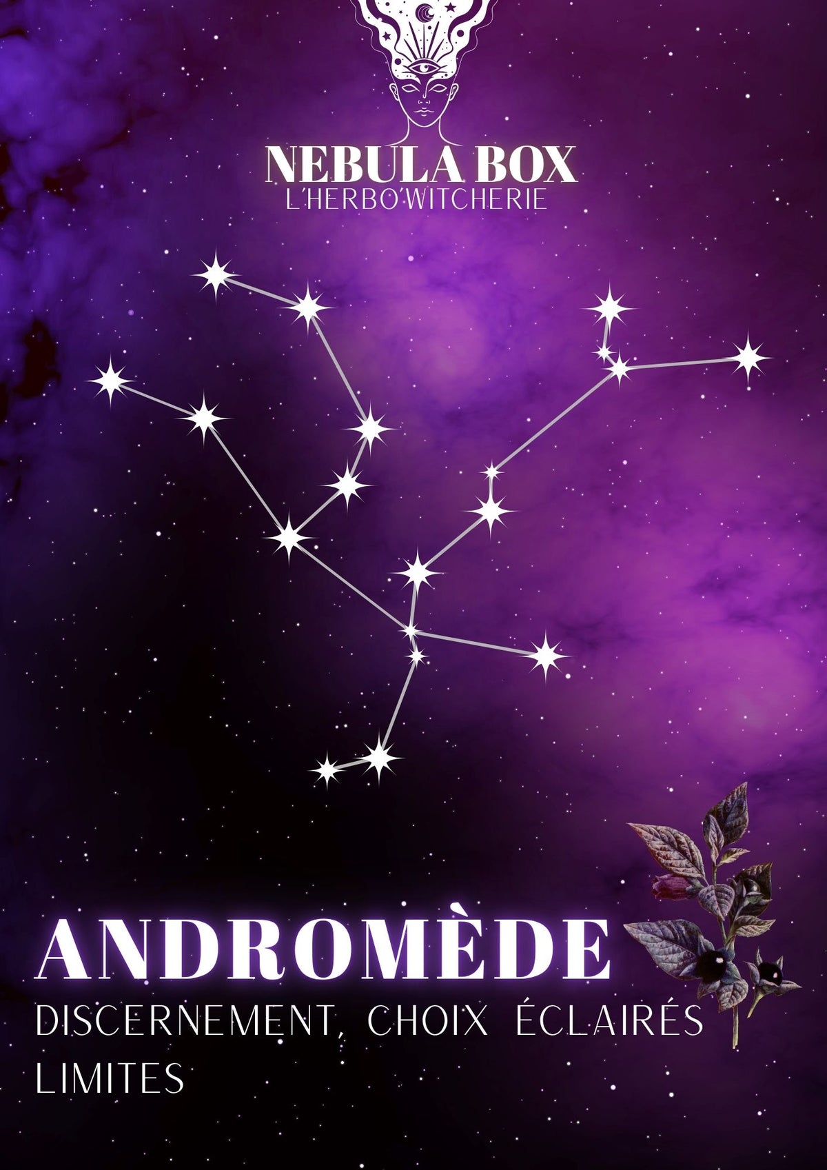 Kit Rituel constellation Andromède – Le jardin d'Andromède