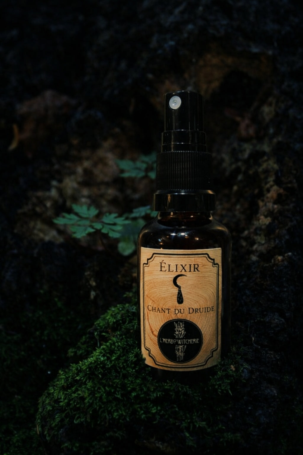 Élixir Chant du Druide -Forces anciennes, ancrage et puissance - 30ml