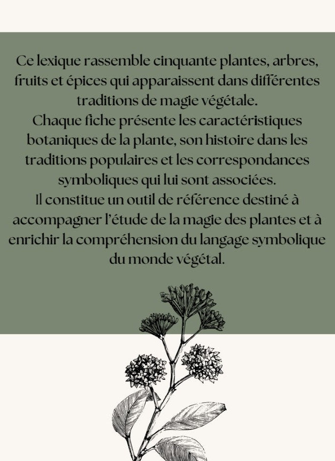 Lexique de magie végétale
Correspondances et usages magiques des plantes (pdf)