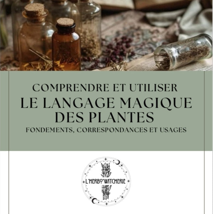 Formation — Comprendre et utiliser le langage magique des plantes